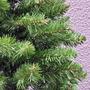 Imagem de Árvore Natal Slim Verde 180cm c/ Pisca Led - Fácil Montagem