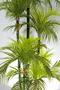 Imagem de Arvore Planta Artificial Palmeira Verde Luxo 160cm