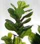 Imagem de Árvore Planta Verde Artificial PREMIUM Ficus Lyrata 174 cm
