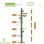 Imagem de Árvores para Gatos PAWZ Road Cactus - Do Chão ao Teto com Altura Ajustável