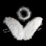 Imagem de Asa de Anjo com Aureola - ANIMAFEST