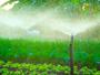 Imagem de Aspersor P5 Rosca Externa 3/4 Agrojet 6 Unidades - Irrigação