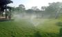 Imagem de Aspersor para Irrigação Sempre Verde 360º