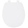 Imagem de Assento Oval Resinado Evolution Soft Close Branco Tupan UTFEV00S