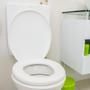Imagem de Assento Sanitário Almofadado Oval Astra TPK/AS