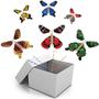 Imagem de Atacado 20 Borboletas mágicas voadoras - The Magic Butterfly m8