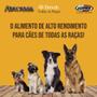 Imagem de Atacama All Breeds 14KG