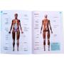 Imagem de Atlas Escolar do Corpo Humano Colorido - Anatomia