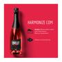 Imagem de Audaz Espumante Rosé Brut