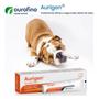 Imagem de Aurigen gel otologico 15gr p/ cães tratamento otite antibacteriano, antifungico e anti inflamatorio