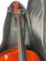 Imagem de AVS Bag para Violoncelo 4/4 Super Luxo BIC010SL