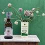 Imagem de Azeite Condimentado com óleo Agliolio COLAVITA 250ml