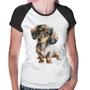 Imagem de Baby Look Raglan Cachorro Dachshund - Foca na Moda