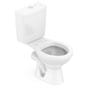 Imagem de Bacia Com Caixa Acoplada Ecoflush 3/6 Lts P Saída Smart Clean Horizontal Azálea Branco Celite