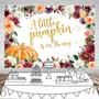 Imagem de Backdrop Mocsicka Pumpkin Baby Shower 210x150cm em vinil