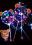 Imagem de Balão Bubble Com Led De Animais Castor