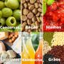 Imagem de Balde Plástico 10L Atóxico com Tampa Hermética e Alça Plástica para Armazenamento Alimentos Bebidas