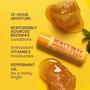 Imagem de Bálsamo Labial Burt's Bees Original Beeswax - Kit com 12 Tubos de 4,25ml