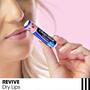 Imagem de Bálsamo Labial ChapStick Hidratante Black Cherry com FPS 15 - Kit com 3 Unidades