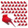 Imagem de BANBERRY DESIGNS Cardinal Clip On Christmas Tree Ornaments-Bird Decorations - Clip-On Red Velvet & Feathers - Conjunto de 48 - Aprox. 2 polegadas - Coroas de flores Peças centrais Artesanato DIY...