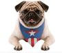 Imagem de Bandana Cachorro M/G Pets Marvel Capitão América Produto Oficial Regina Festas - Inspire sua Festa Loja