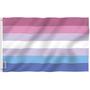 Imagem de Bandeira Anley Fly Breeze Bigender Pride 90x150cm poliéster