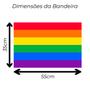 Imagem de Bandeira Avulsa Orgulho LGBT Cores em Cetim Brilhante - Tamanho Pequeno 55cm x 35cm