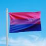 Imagem de Bandeira Avulsa Orgulho LGBT Cores em Cetim Brilhante - Tamanho Pequeno 55cm x 35cm