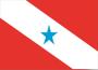 Imagem de Bandeira do Estado do Pará 80cmx140cm Tecido Oxford 100% Poliéster