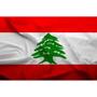 Imagem de Bandeira Do Líbano 150X90Cm Poliéster