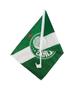 Imagem de Bandeira Haste Plástico Vidro Carro 31x46cm - Palmeiras