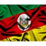 Imagem de Bandeira Rio Grande Do Sul Oficial 90x 150cm