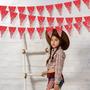 Imagem de Banner Bandana Triangular para Festa - Pacote com 5 Unidades (3m)