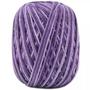 Imagem de Barbante Barroco Multicolor Espessura Fio 6 Novelo com 226 Metros 885 TEX Circulo