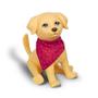 Imagem de Barbie Pet Veterinária Cachorrinha Taffy com Acessórios - 1250 - Pupee