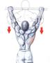 Imagem de Barra Fixa De Parede Pull-up Modelo Externo Interno
