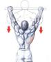 Imagem de Barra Fixa Parede Pull-up Chin-up Tríceps Paralelas