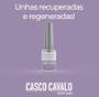 Imagem de Base Regeneradora Argan E Rícino 8ml Casco Cavalo Para Unhas Danificadas por Unhas Gel Postiças Vidro Porcelana