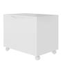 Imagem de Baú Box Multiuso Banco Sapateira Quarto Mini Recamier Cama Infantil Cesto Guarda Brinquedos Gabinete Banheiro - Branco/Cedro