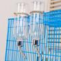 Imagem de Bebedouro automático garrafa plástico coelho hamster ratos porquinho da india