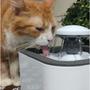 Imagem de Bebedouro Para Gato E Cachorro Fonte Agua Filtro Bivolt