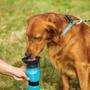 Imagem de Bebedouro Portátil Para Cães Acqua - ul 500Ml