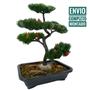 Imagem de Belíssimo arranjo arvore bonsai artificial - realista