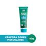 Imagem de Bendita cânfora gel relaxante 80g kit com 6