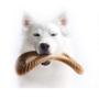 Imagem de Benebone Dental Chew Amendoim - P