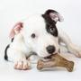 Imagem de Benebone Puppy Tiny Wishbone/Dental Chew Bacon