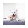 Imagem de Benebone Wishbone Bacon - G