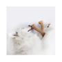 Imagem de Benebone Wishbone Bacon - G
