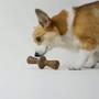 Imagem de Benebone zaggler bacon p 