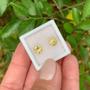 Imagem de Berilo Amarelo Brilhante ø6mm Par 1,50ct